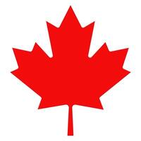 Original red maple leaf from the Canadian flag, isolated on a transparent background. illustration. vector