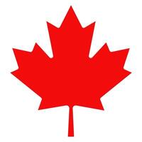 Original red maple leaf from the Canadian flag, isolated on a transparent background. illustration. vector