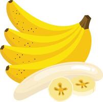 Set of fresh banana whole and cut vector