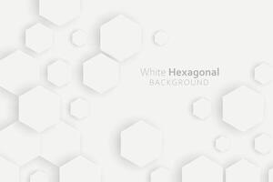 3d gradient white hexagonal background vector