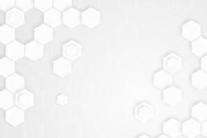 3d gradient white hexagonal background vector