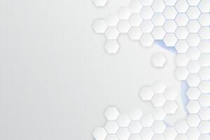 3d gradient white hexagonal background vector