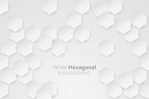 3d gradient white hexagonal background vector