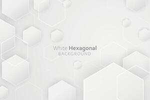 3d gradient white hexagonal background vector