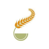 Agriculture wheat Logo vector