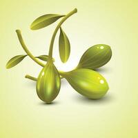 Olive with leave and Green bright background vector