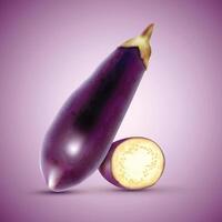 Eggplant Vegetable whole fruit and slices or brinjal on white background. vector