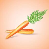 Red Fresh carrot with green leaf illustration vector