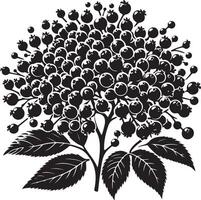 Elderberry, fruit silhouette, black color silhouette vector