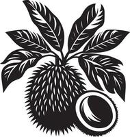 Entawak fruit, black color silhouette vector