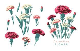 carnation object element.use for mother's day design vector