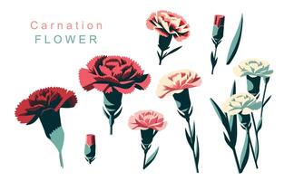 carnation object element.use for mother's day design vector