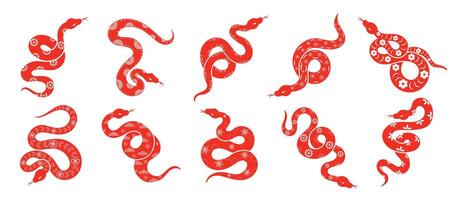 chino nuevo año serpiente diseño colocar. elemento zodíaco firmar año de el serpiente con Cereza florecer flor modelo en serpiente rojo color. ilustración diseño de fondo, tarjeta, pegatina, calendario. vector