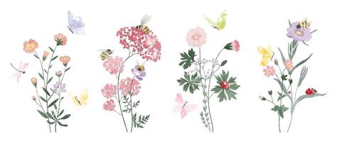 Set of botanical bouquet element. Collection of ladybug, bee, butterfly, flowers, wildflowers, wild grass. Watercolor floral illustration design for logo, wedding, invitation, decor, print. vector