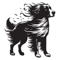 Windswept Brittany Spaniel illustration in black and white vector