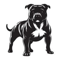 Athletic Staffordshire Bull Terrier illustration in black and white vector