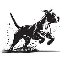 americano Staffordshire terrier corriendo en orilla ilustración en negro y blanco vector