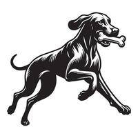 vizsla perro corriendo con hueso ilustración en negro y blanco vector