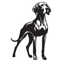 A Regal Vizsla dog face illustration in black and white vector