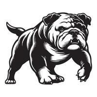 Adventurous English Bulldog illustration in black and white vector