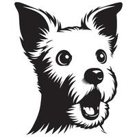 A Surprised West Highland White Terrier Dog Face illustration in black and white vector