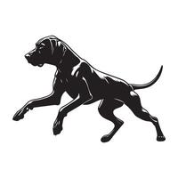 Focused Vizsla Retrieving Object illustration in black and white vector