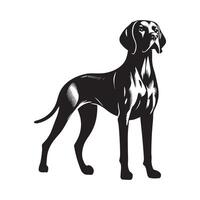 Vizsla Noble stance illustration in black and white vector