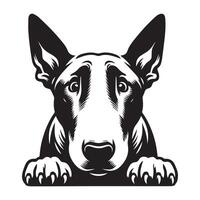 A Fearful Bull Terrier Dog Face illustration in black and white vector