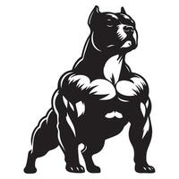 ilustración de un Staffordshire toro terrier muscular en negro y blanco vector