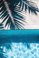 Palm tree shadow on the pool photo
