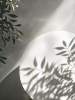 An image of shadows of leaves on a white wall. photo