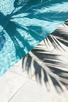 Palm tree shadow on the poolside. photo
