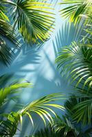 Blue background with green palm leaves. photo