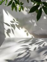 white table with a shadow of a plant on it. The background is white. The table is empty. photo