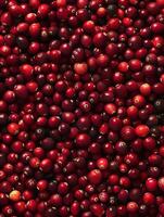 Red juicy cranberries, fresh cranberries as a background. photo