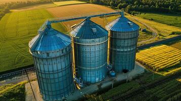 Tres grande metal silos estar en un rural campo. foto