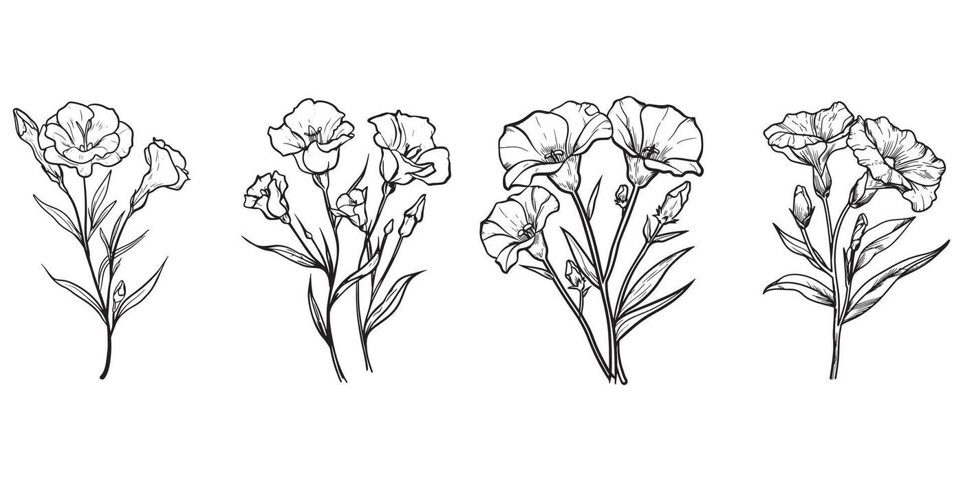 prairie-gentian-flower-outline