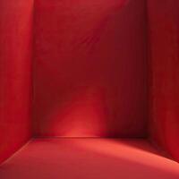 The image is a red room. The room is empty and has nothing in it. The walls, floor, and ceiling are all red. photo