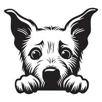 A Fearful West Highland White Terrier Dog Face illustration in black and white vector