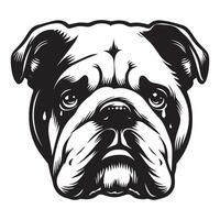 A Sorrowful bulldog face illustration in black and white vector