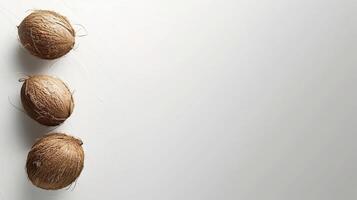 milky white background with three coconuts, a lot of empty space photo