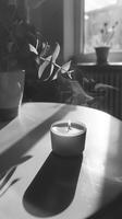 a scented candle on a white surface under the sun photo