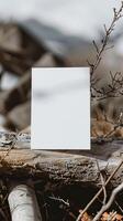 Closeup of a white color 5x7 inches greeting card on log, white background, boho style photo