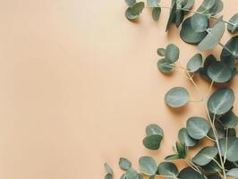 copy space on eucalyptus leaves on the beige background, flat lay, top view photo