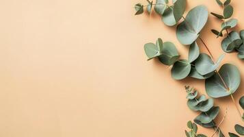 copy space on eucalyptus leaves on the beige background, flat lay, top view photo