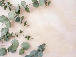 copy space on eucalyptus leaves on the beige background, flat lay, top view photo