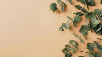 copy space on eucalyptus leaves on the beige background, flat lay, top view photo