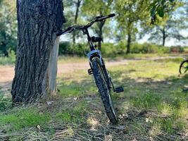A mountain bike is leaning on a tree next to a beautiful green forest path, the sun is shining through the trees. Mountain bike concept. photo