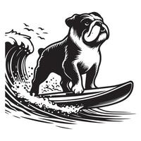 Surfing English Bulldog illustration in black and white vector