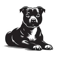 Majestic Staffordshire Bull Terrier Lying illustration vector